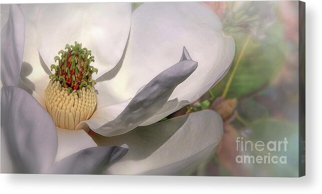Southern Magnolia Acrylic Print featuring the photograph Love Of Nature by Mary Lou Chmura