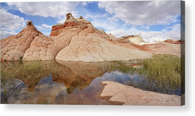 White Pocket Acrylic Print featuring the photograph Nature's Construction by Leda Robertson
