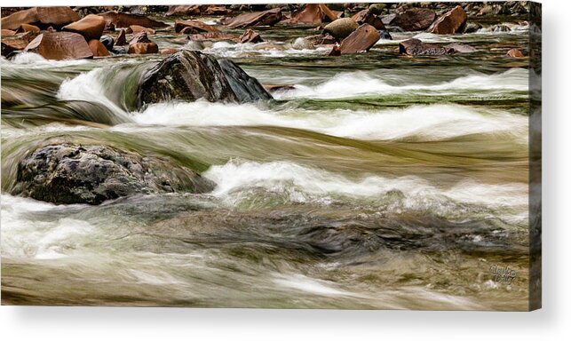 Landscapes Acrylic Print featuring the photograph On The Move by Claude Dalley