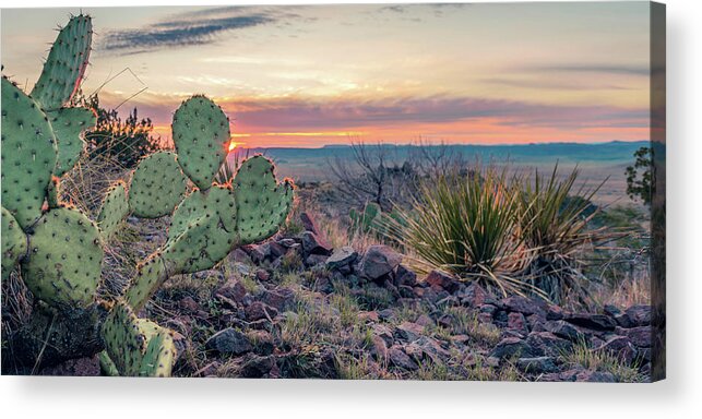 Prickly Pear Acrylic Print featuring the photograph Perfect Imperfect by Slow Fuse Photography