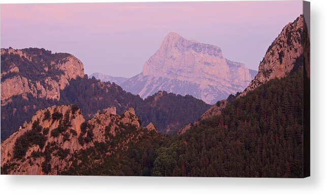 Pena Montanesa Acrylic Print featuring the photograph Pink Skies and Alpen Glow in the Anisclo Canyon by Stephen Taylor