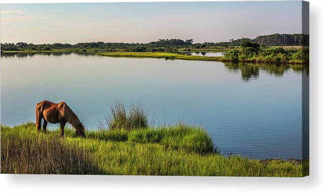 Marsh Acrylic Print featuring the photograph Still Waters by Bari Rhys