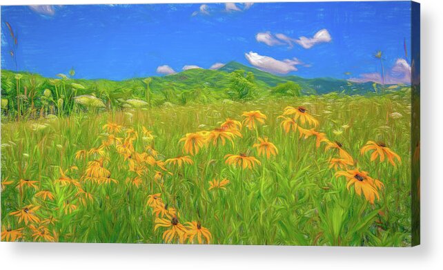 Summer Field Flowers Acrylic Print featuring the photograph Summer Meadow, Stylized by Marcy Wielfaert