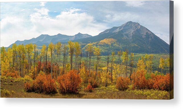 Autumn Acrylic Print featuring the photograph Beckwith Autumn by Aaron Spong