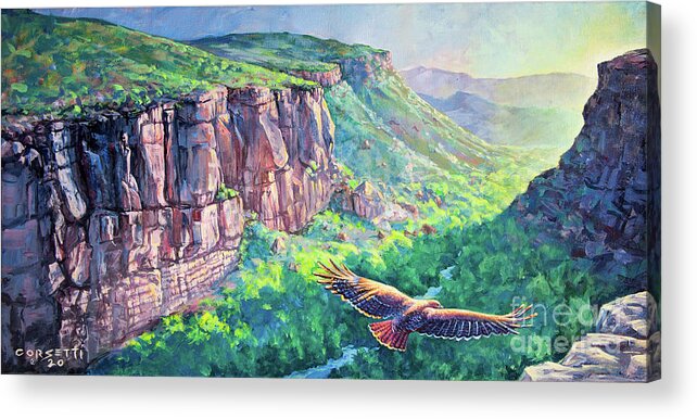 Red Tailed Acrylic Print featuring the painting Fire Bird - Red Tailed Hawk over Santa Clara by Robert Corsetti