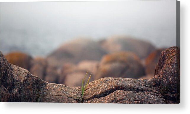 Tranquility Acrylic Print featuring the photograph High Angle View Of Rocky Shore by Paulien Tabak / EyeEm