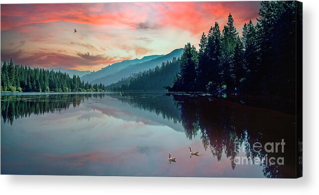Time Wasted At The Lake Reflect The Beauty Around It And Is Time Well Spent Acrylic Print featuring the photograph I Lake You by David Zanzinger
