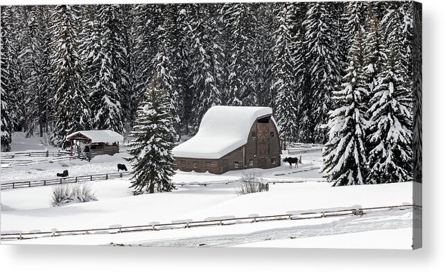 Snow Acrylic Print featuring the photograph Moose Ranch by Ronnie And Frances Howard