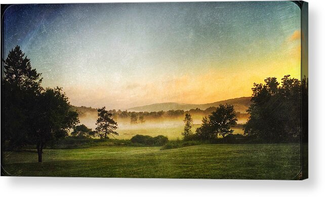 Fog Acrylic Print featuring the photograph Morning Dog Walk 3 by Robert Dann