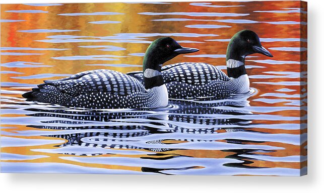 Loons Acrylic Print featuring the painting Northern Loons by Guy Crittenden