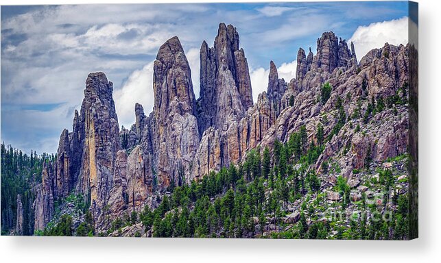Custer State Park Acrylic Print featuring the photograph On the Needles Highway by Nick Zelinsky Jr
