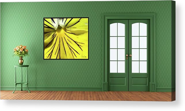 Flower Acrylic Print featuring the photograph Pansy Lines OTW by Jerry Sodorff