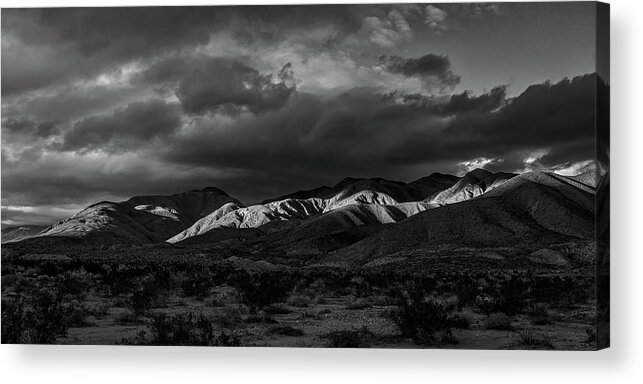 Black & White Acrylic Print featuring the photograph Peaking Through by Peter Tellone
