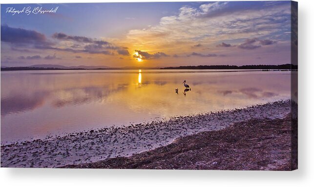 Australian Pelicans Acrylic Print featuring the digital art Pelican sunset 9885 by Kevin Chippindall