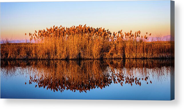 Fine Art Acrylic Print featuring the photograph Reflection on Blue by Bryan Carter