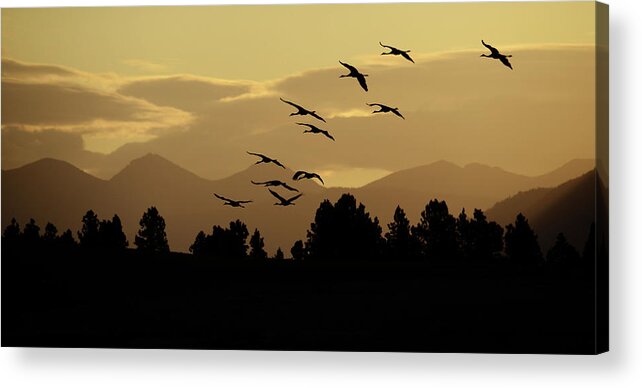 Silhouette Acrylic Print featuring the photograph Silhouette Sandhills by Whispering Peaks Photography