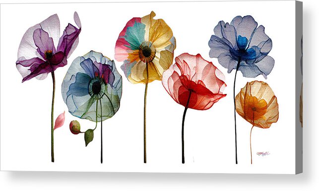 Spring Momentum Acrylic Print featuring the digital art Spring Momentum, Poppies in Bloom II by OLena Art by Lena Owens - Vibrant DESIGN