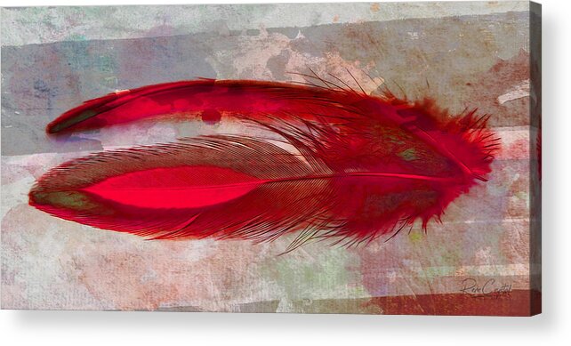 Feathers Acrylic Print featuring the photograph Tickle Me Red by Rene Crystal