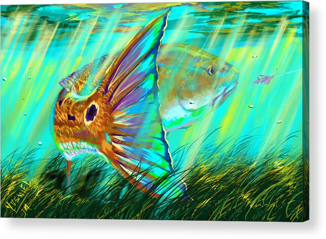  Fishing Acrylic Print featuring the digital art Over The Grass by Yusniel Santos