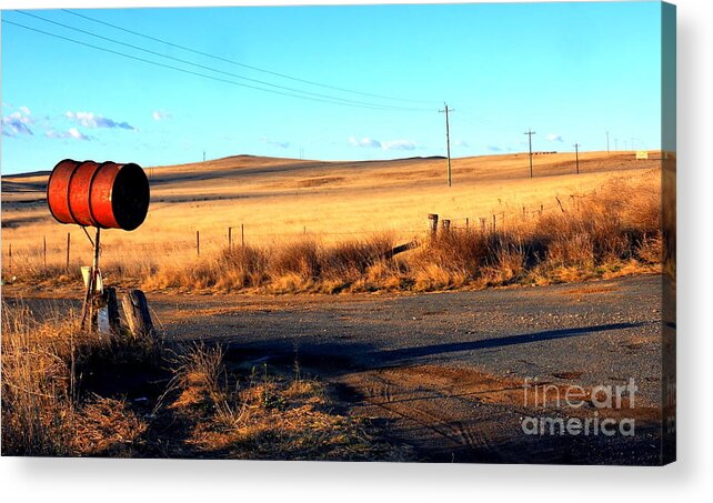 Australian Outback Acrylic Print featuring the photograph In Contact #1 by Lexa Harpell