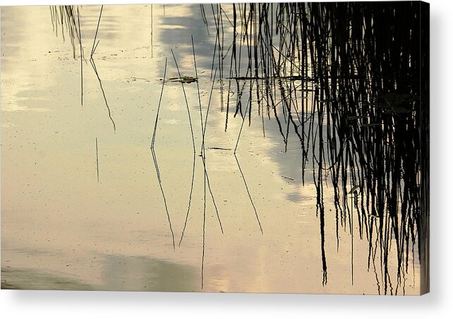 Abstract Acrylic Print featuring the photograph Shore Lines by Debbie Oppermann