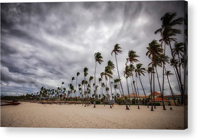 Punta Acrylic Print featuring the photograph Windy Beach by Ross Henton