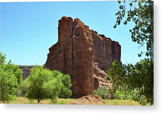Mountain Acrylic Print featuring the photograph Fortress Rock by Debby Pueschel