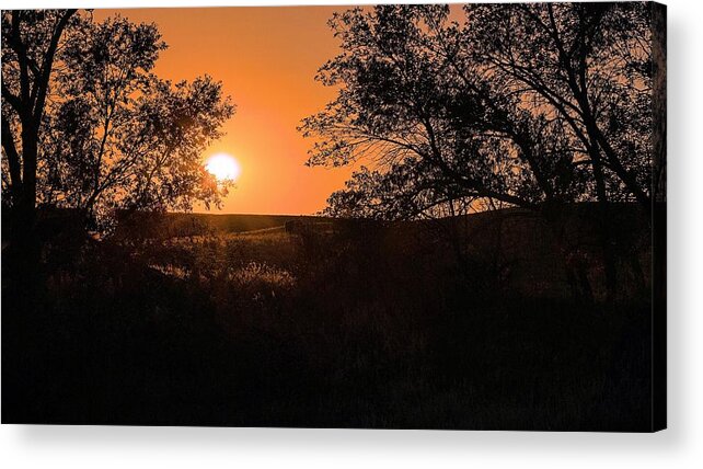 Hayfield Acrylic Print featuring the photograph Hayfield at Night by Donald J Gray