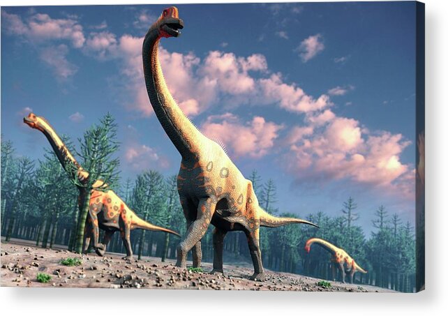 Prehistoric Era Acrylic Print featuring the digital art Artwork Of Brachiosaurus by Mark Garlick