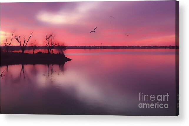 Sunset Acrylic Print featuring the photograph Day's End by Betty LaRue