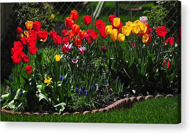 Flower Acrylic Print featuring the photograph Flower Garden #1 by Frozen in Time Fine Art Photography