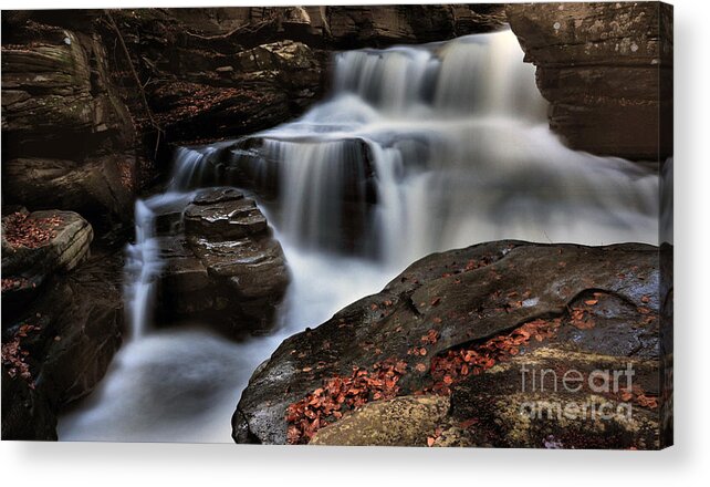 Waterfall Acrylic Print featuring the photograph Secret Waterfall by Debra Fedchin