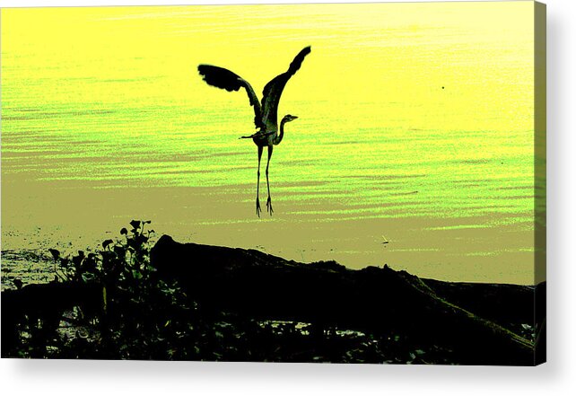 Sacramento River Delta Acrylic Print featuring the digital art First Flight by Joseph Coulombe
