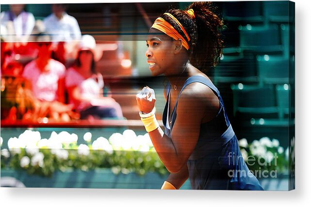 Serena Williams Drawings Acrylic Print featuring the mixed media Serena Williams #3 by Marvin Blaine
