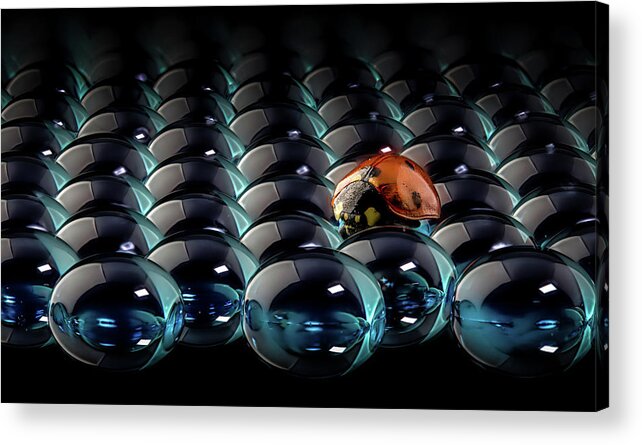 Water Acrylic Print featuring the photograph Alien by Dmitry Skvortsov