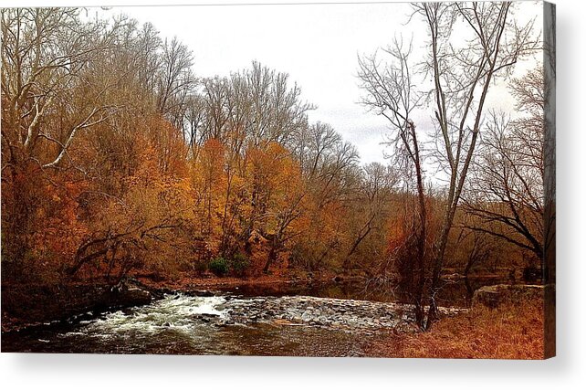 Scenery Prints Acrylic Print featuring the photograph Autumn colors by Delona Seserman