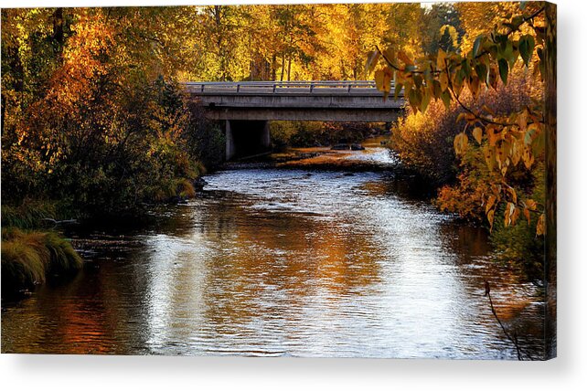 2013 Acrylic Print featuring the photograph Autumn Crossing by Jan Davies