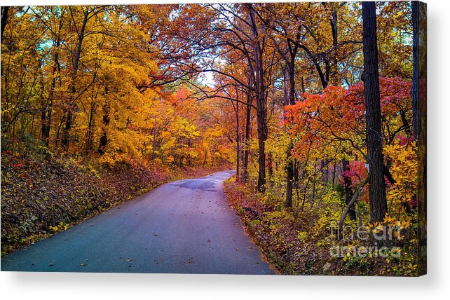 Autumn Colors Acrylic Print featuring the photograph Autumn Drive by Peggy Franz