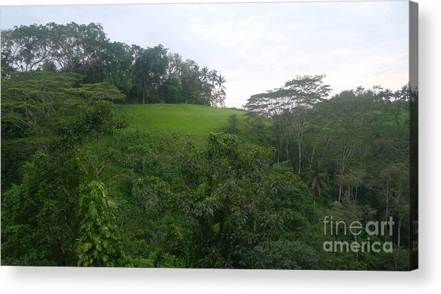 Bali Acrylic Print featuring the photograph Bali Hilltop by Nora Boghossian