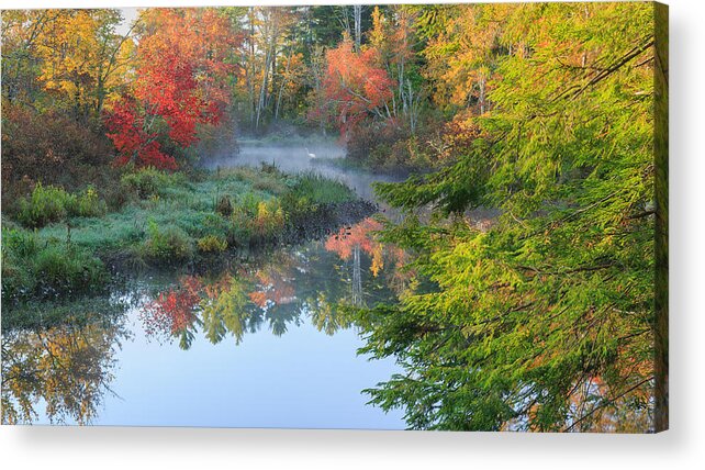 Autumn In New England Acrylic Print featuring the photograph Bantam River Autumn by Bill Wakeley