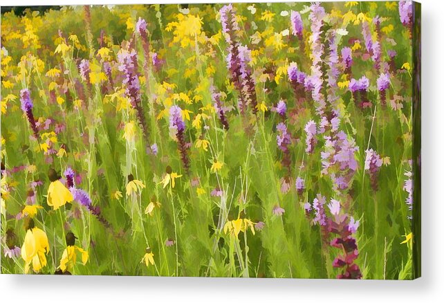 Wild Flowers Blazing Star Acrylic Print featuring the photograph Blazinger Star by Barry Schroeder