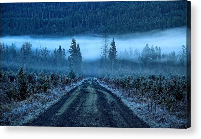 Blue Acrylic Print featuring the photograph Blue and foggy and moody by Lynn Hopwood