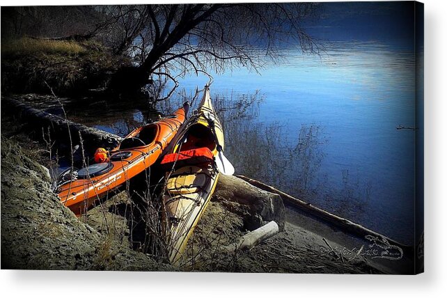 Skaha Lake Acrylic Print featuring the photograph Break time by Guy Hoffman
