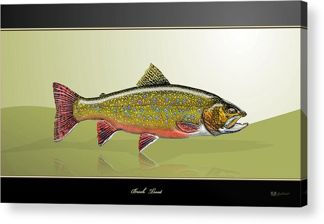 'fishing Corner' Collection By Serge Averbukh Acrylic Print featuring the digital art Brook Trout by Serge Averbukh