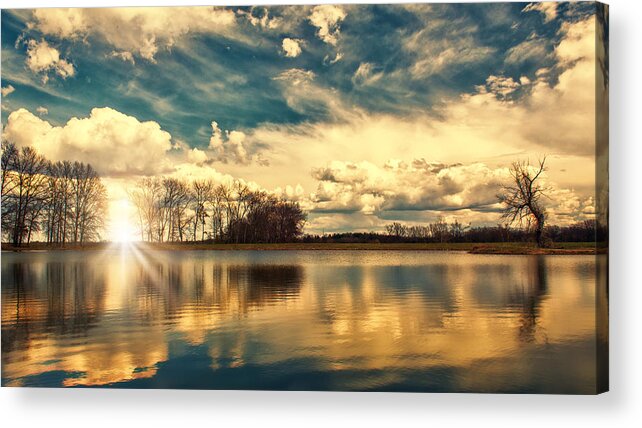 Sunrise Acrylic Print featuring the photograph Busch Sunrise Behind Trees by Bill and Linda Tiepelman