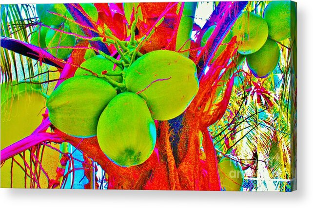 Kerisart Acrylic Print featuring the photograph Carmen's Coconuts by Keri West