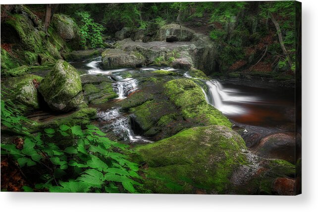 Forest Landscape Acrylic Print featuring the photograph Cool Mountain Stream by Bill Wakeley