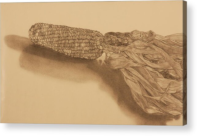 Corn Acrylic Print featuring the drawing Corn by Michelle Miron-Rebbe