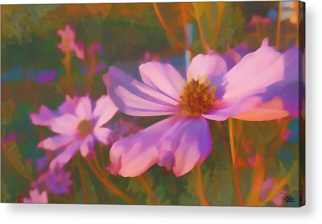 Flower Acrylic Print featuring the painting Cosmos Twilight by Douglas MooreZart