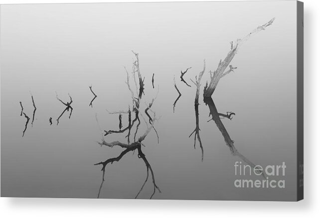 Abstract Acrylic Print featuring the photograph Dead Sea by Keith Kapple